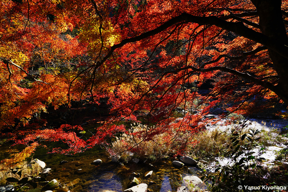 写真紀行  旅ブックスONLINE