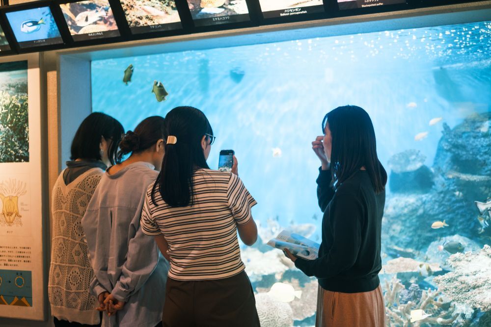 46期納会『シゲキ水族館』を開催しました！