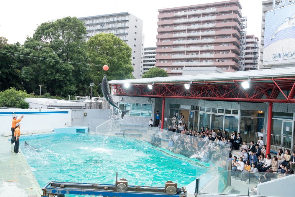 46期納会『シゲキ水族館』を開催しました！