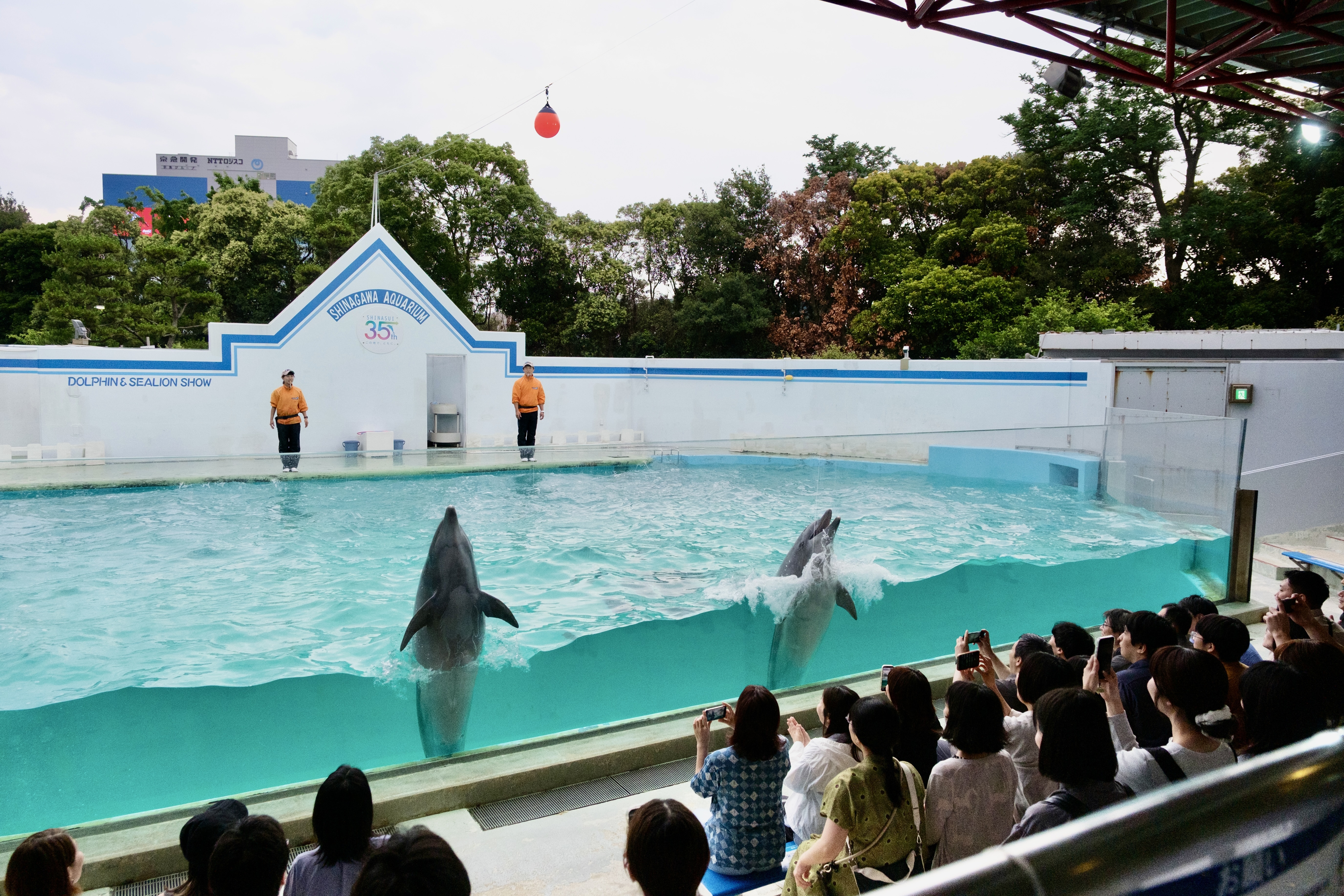 46期納会『シゲキ水族館』を開催しました！